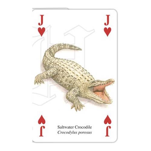 Asian Animals playing cards Heritage Animales Asia