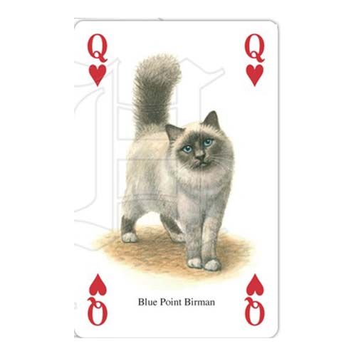 Cats of the world playing cards Heritage Gatos del mundo