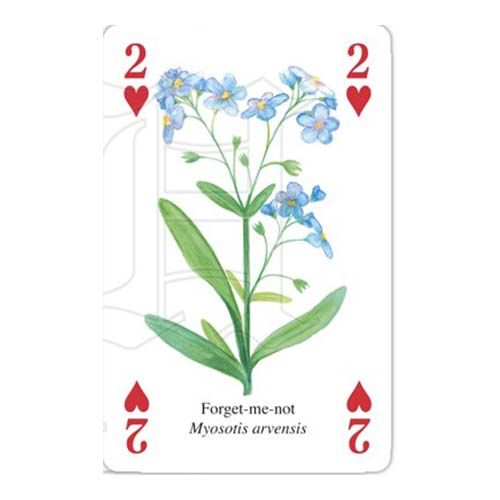 Wild flowers playing cards Heritage Baraja poker flores silvestres