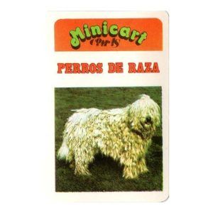 Minicart Perros de raza Naipes Comas baraja cartas familias cuartetos 11