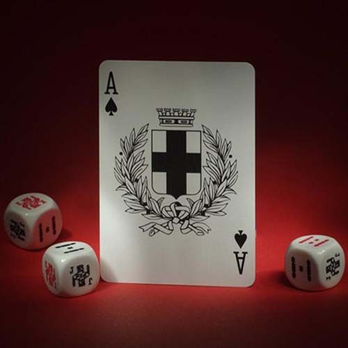Dom playing cards USPCC Tara Studio poker deck 14