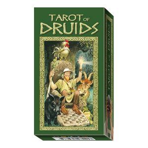 Tarot of Druids Lo Scarabeo 78 cards with instructions Severino Baraldi deck11