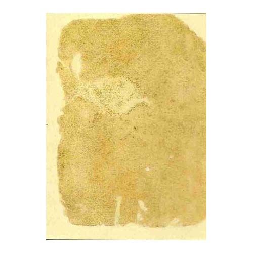 Reproduccion Baraja Morisca 1390 Italia siglo XIV fascimil cartas naipe mazzo di carte alla moresca 13