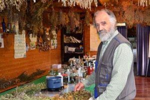 Gabriel Vazquez Molina arboles sanadores tarot hierbas magicas taller plantas medicinales