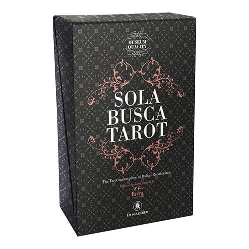 Sola Busca Tarot Lo Scarabeo cards Museum quality Italian renaissance brera baraja cartas 11