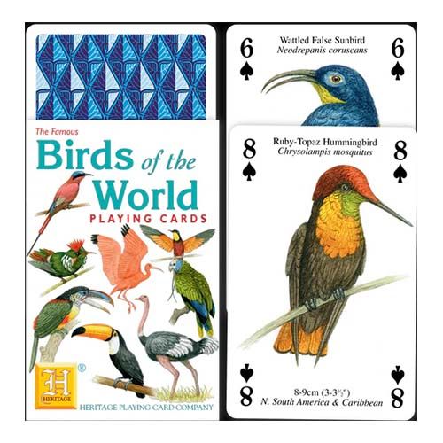 Birds of the world playing cards Heritage poker deck Pajaro pajaros mundo aves baraja cartas naipe aprender 12