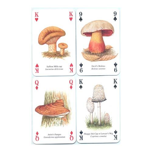 Mushrooms playing cards Heritage poker deck setas hongos baraja cartas didactica aprender 12