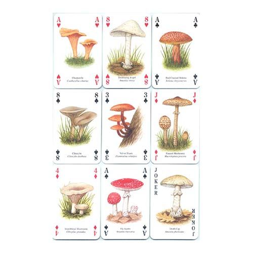 Mushrooms playing cards Heritage poker deck setas hongos baraja cartas didactica aprender 13