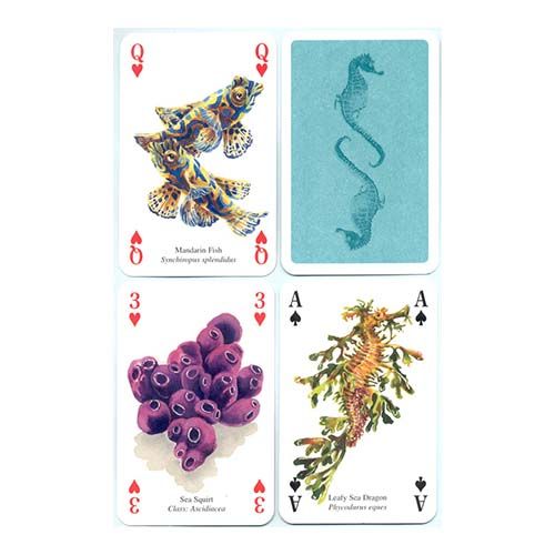 Ocean Life playing cards Heritage poker deck vida oceanica oceano animales marinos baraja cartas didactica aprender 12