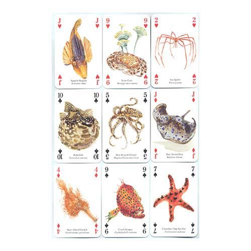 Ocean Life playing cards Heritage poker deck vida oceanica oceano animales marinos baraja cartas didactica aprender 13