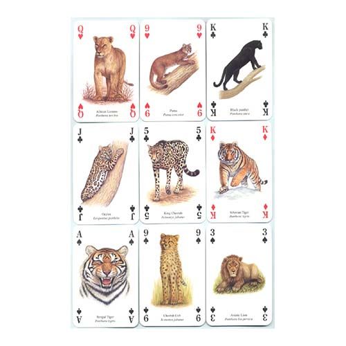 Wild Cats playing cards Heritage poker deck cat baraja cartas gatos salvajes felinos naipe aprender 13