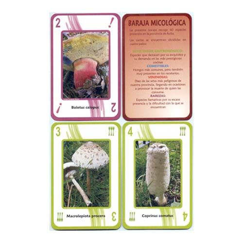 Setas de Avila Baraja Micologica juego comestibles venenosas gastronomia seta hongos cartas naipe diputacion castilla leon 12