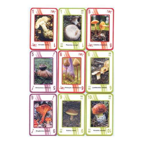 Setas de Avila Baraja Micologica juego comestibles venenosas gastronomia seta hongos cartas naipe diputacion castilla leon 13