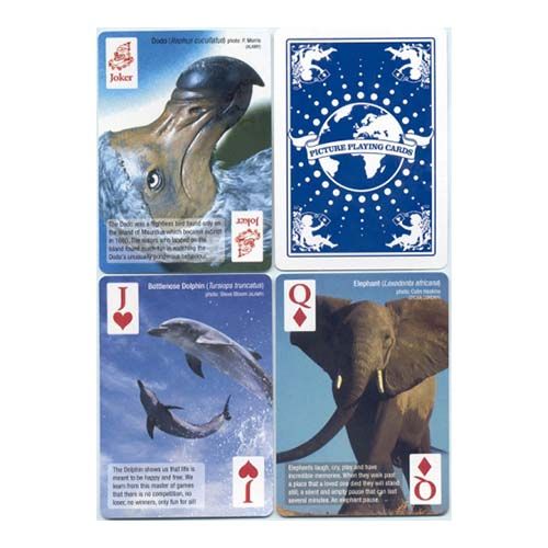 Animals of the world playing cards Fournier 54 favourite pctur photos poker deck Naipes Heraclio baraja cartas animales mundo 12