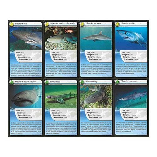 Tiburones Desafios Naturaleza cartas 36 baraja naipe Bioviva animal animales 3569160660303 desafio juego aprender didactico 12