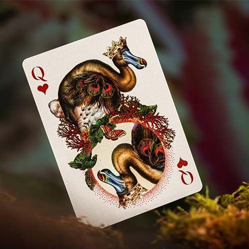 Moooi Extinct Animals Theory11 playing cards poker deck life extraordinary art 0850080856062 premium museum 13
