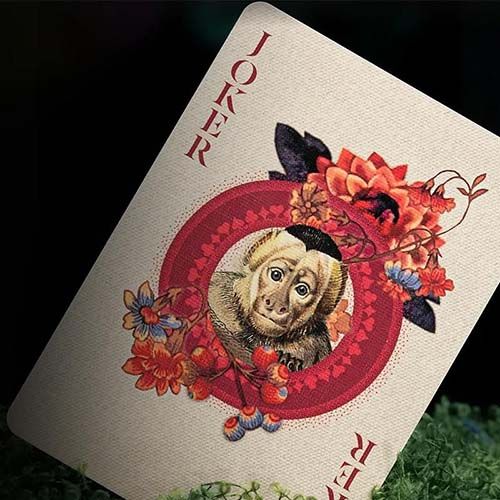Moooi Extinct Animals Theory11 playing cards poker deck life extraordinary art 0850080856062 premium museum 15