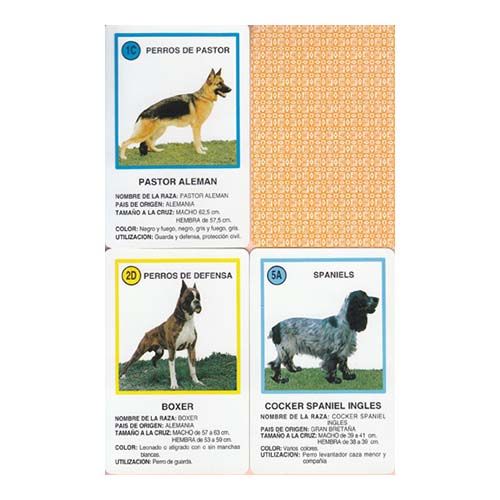 Perros 1994 baraja Fournier - Imagen 2